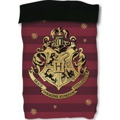 Edredon Harry Potter - vente-grossiste.fr
