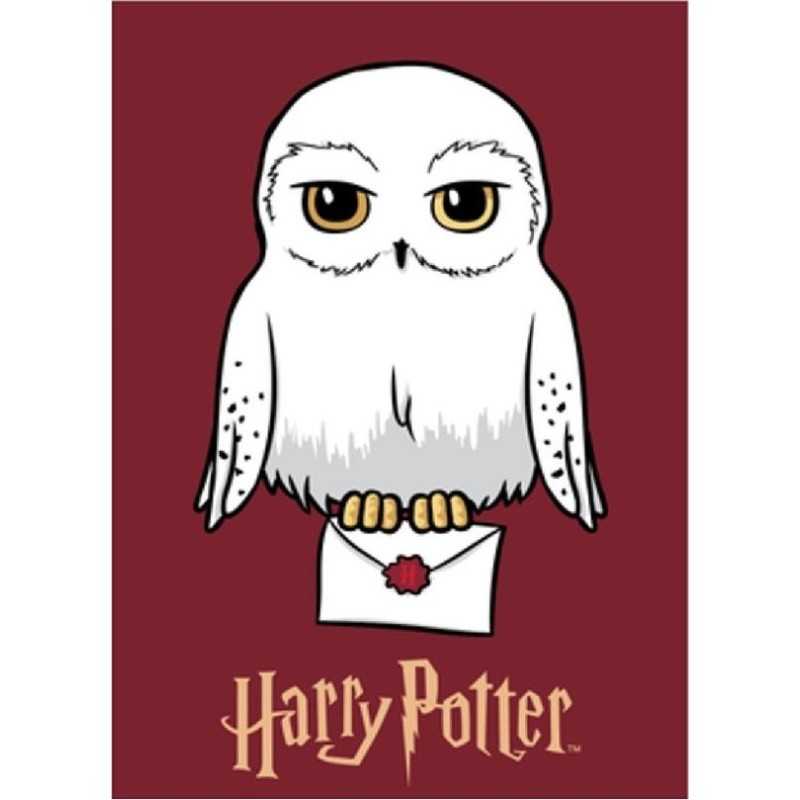 Manta de lana Harry Potter -New discount.com