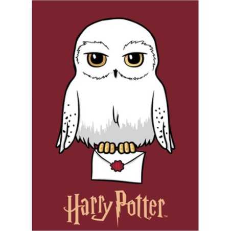 Harry potter Fleece Blanket, New discount.com, Nouveautés chez new ...