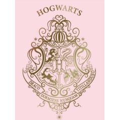 Harry potter Fleece Blanket, New discount.com, Nouveautés chez new ...