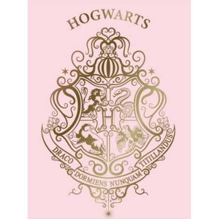 Harry potter Fleecedecke - vente-grossiste.fr