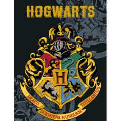 Harry potter Fleece Blanket, New discount.com, Nouveautés chez new ...