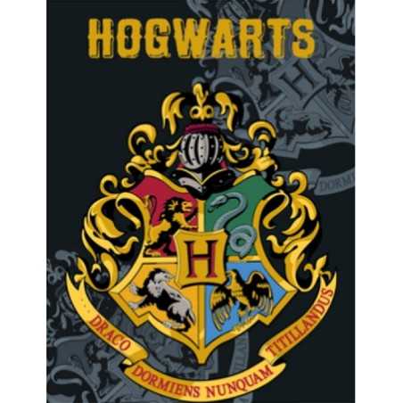 Harry potter Fleece Blanket, New discount.com, Nouveautés chez new ...