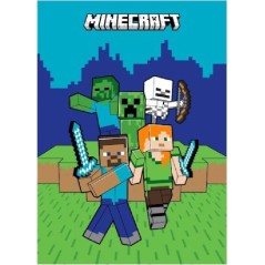 Plaid Minecraft - vente grossiste.fr