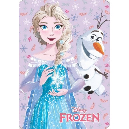 Plaid Frozen 2 Disney - vente grossiste.fr