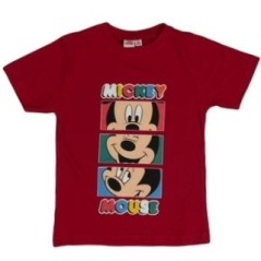 T-Shirt Mickey Disney - Vente grossiste.fr