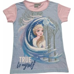 Maglietta Frozen 2 Disney a maniche corte - vente grossiste.fr