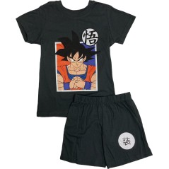 Set T-Shirt + Shorts Dragon Ball Super - vente-grossiste.fr