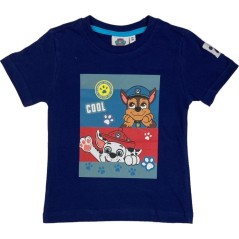 Paw Patrol short sleeve t-shirt - vente-grossiste.fr