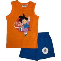 Set T-Shirt + Shorts Dragon Ball Super - vente-grossiste.fr