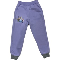 Ensemble Jogging Frozen Disney - Vente grossiste.fr