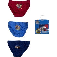 Boite de slips Paw Patrol - Vente grossiste.fr