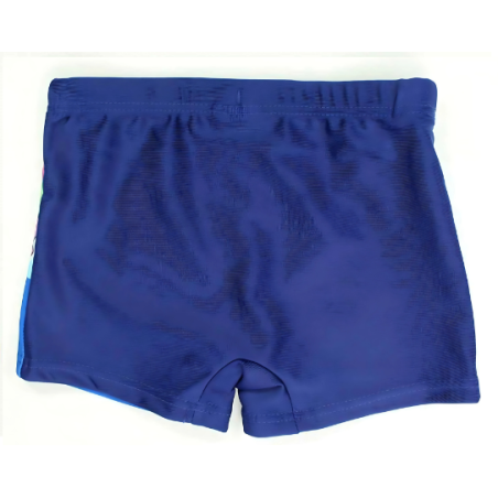 Swimsuit Stitch Disney
