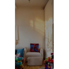 Coussin Spiderman 38 cm( Impression recto verso) - New discount.com