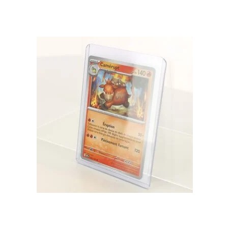 Toploader Deluxe Protection