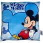 Disney Mickey Kissen