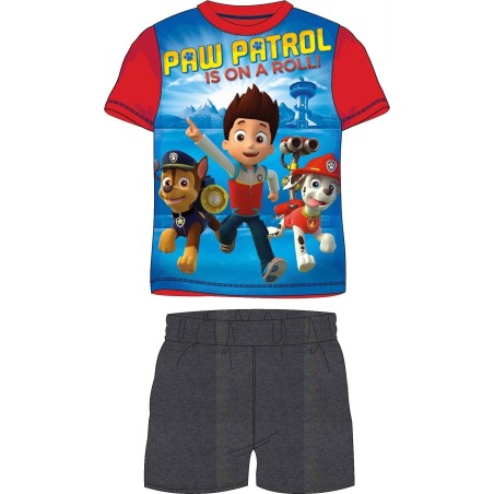Paw Patrol Beach set