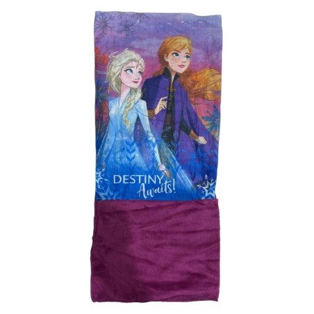 Frozen 2 Disney Neck Cache