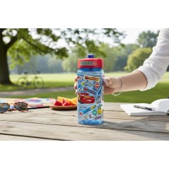 Bouteille d'eau carrée 510 ml Cars Disney - New discount.com