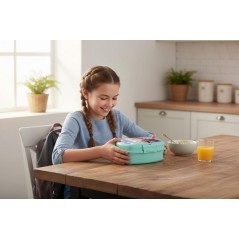 Scatola per meranda Frozen Disney