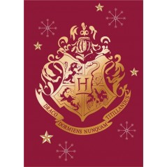 Coperta Harry Potter - vente grossiste.fr