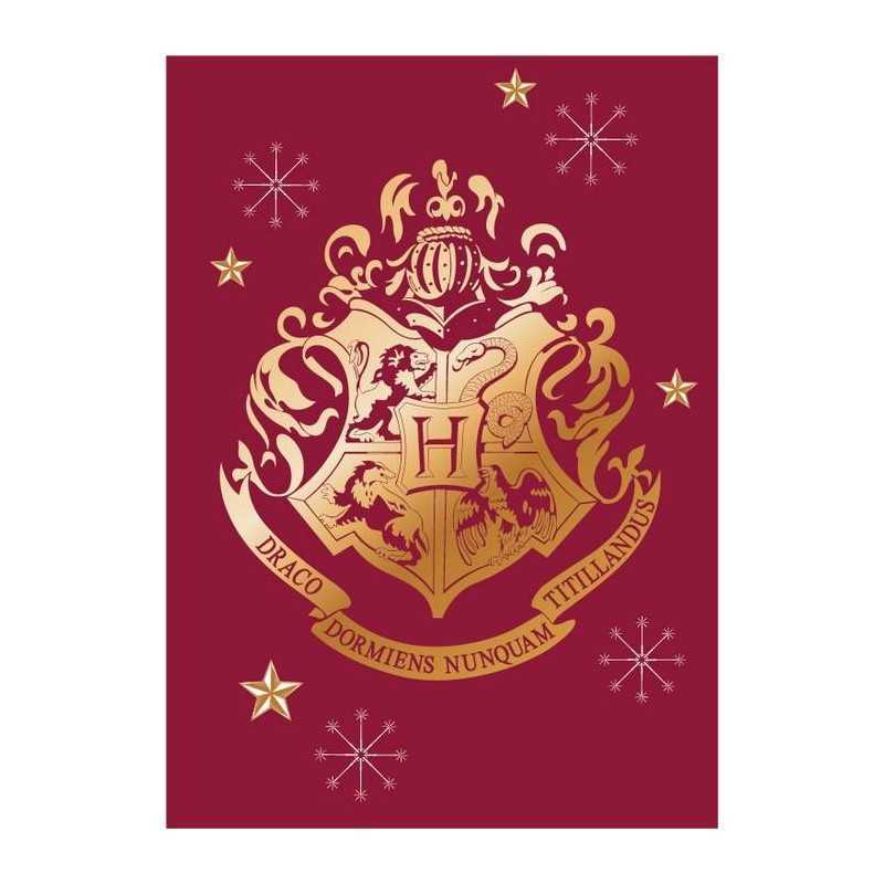 Coperta Harry Potter - vente grossiste.fr