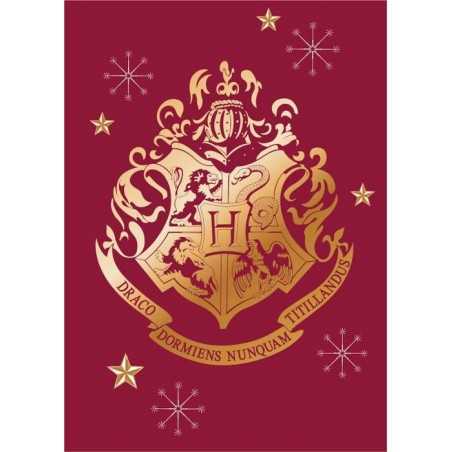 Manta polar Harry Potter - vente-grossiste.fr