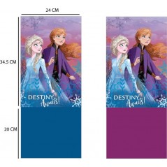 Caché de cuello Frozen 2 Disney - vente-grossiste.fr