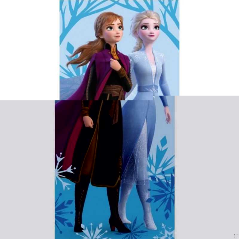 Asciugamano o telo Mare Frozen 2 Disney cotone - vente grossiste.fr